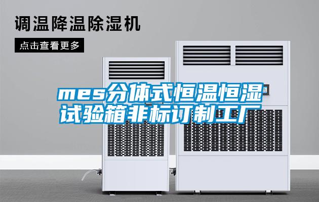 mes分體式恒溫恒濕試驗箱非標訂制工廠