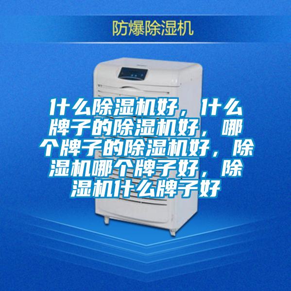 什么除濕機好，什么牌子的除濕機好，哪個牌子的除濕機好，除濕機哪個牌子好，除濕機什么牌子好