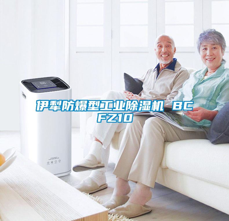 伊犁防爆型工業除濕機 BCFZ10