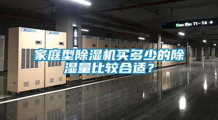 家庭型除濕機買多少的除濕量比較合適？