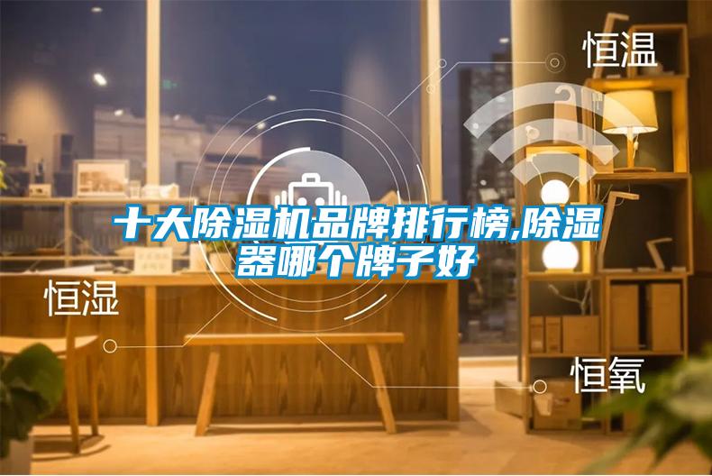 十大除濕機品牌排行榜,除濕器哪個牌子好