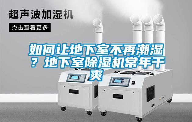 如何讓地下室不再潮濕？地下室除濕機常年干爽