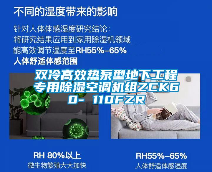 雙冷高效熱泵型地下工程專用除濕空調機組ZCK60- 110FZR