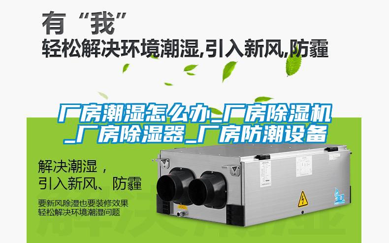 廠房潮濕怎么辦_廠房除濕機_廠房除濕器_廠房防潮設備