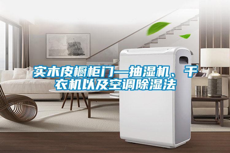 實(shí)木皮櫥柜門—抽濕機(jī)、干衣機(jī)以及空調(diào)除濕法