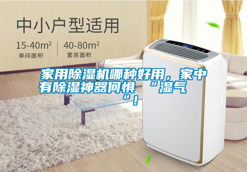 家用除濕機哪種好用，家中有除濕神器何懼 “濕氣 “！