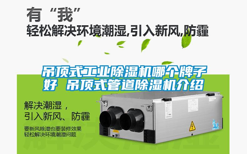 吊頂式工業除濕機哪個牌子好 吊頂式管道除濕機介紹