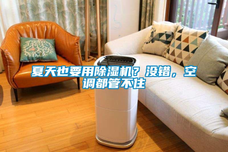 夏天也要用除濕機？沒錯，空調都管不住