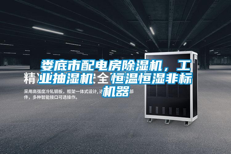 婁底市配電房除濕機，工業抽濕機  恒溫恒濕非標機器
