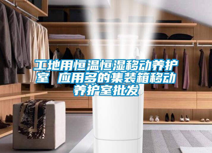 工地用恒溫恒濕移動養(yǎng)護室 應(yīng)用多的集裝箱移動養(yǎng)護室批發(fā)