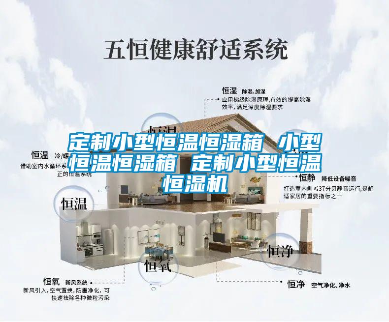 定制小型恒溫恒濕箱 小型恒溫恒濕箱 定制小型恒溫恒濕機