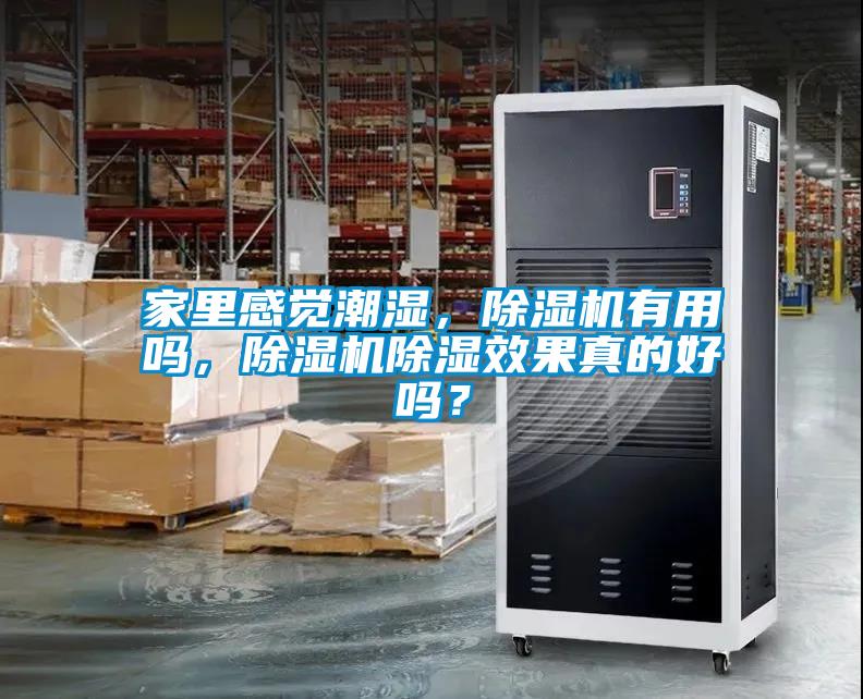 家里感覺潮濕，除濕機有用嗎，除濕機除濕效果真的好嗎？