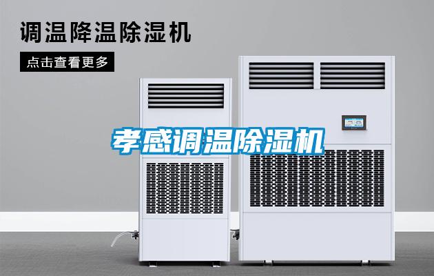 孝感調溫除濕機