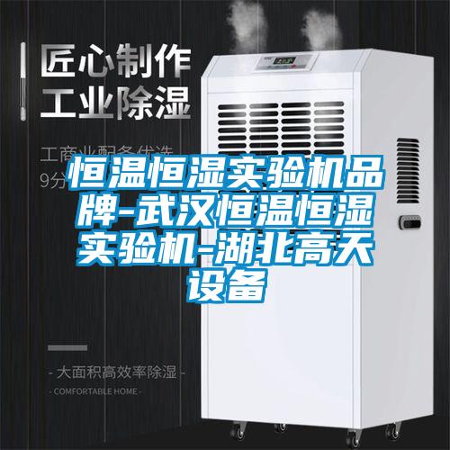 恒溫恒濕實驗機品牌-武漢恒溫恒濕實驗機-湖北高天設(shè)備