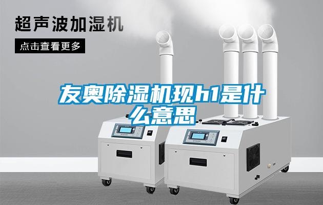 友奧除濕機現h1是什么意思