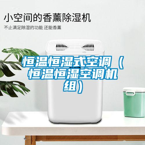 恒溫恒濕式空調（恒溫恒濕空調機組）