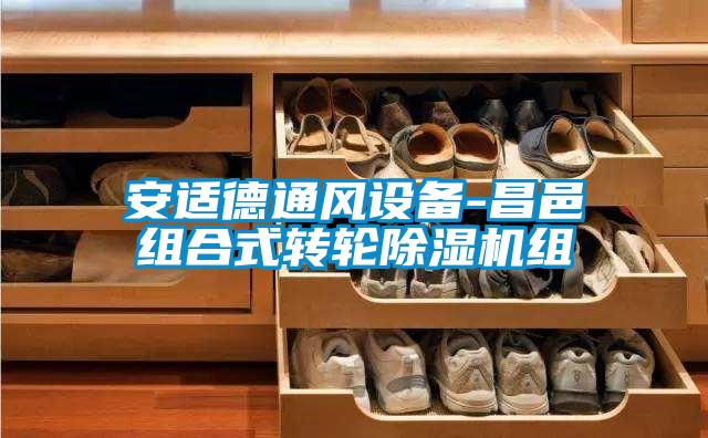 安適德通風設備-昌邑組合式轉輪除濕機組