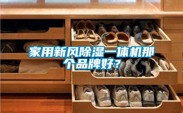 家用新風除濕一體機那個品牌好？