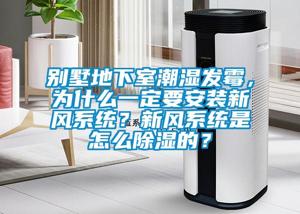 別墅地下室潮濕發霉，為什么一定要安裝新風系統？新風系統是怎么除濕的？