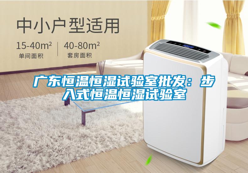 廣東恒溫恒濕試驗室批發：步入式恒溫恒濕試驗室