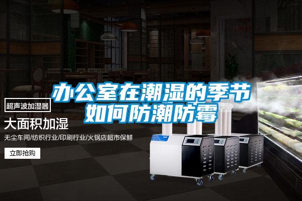 辦公室在潮濕的季節如何防潮防霉