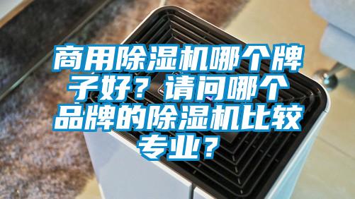 商用除濕機哪個牌子好？請問哪個品牌的除濕機比較專業？