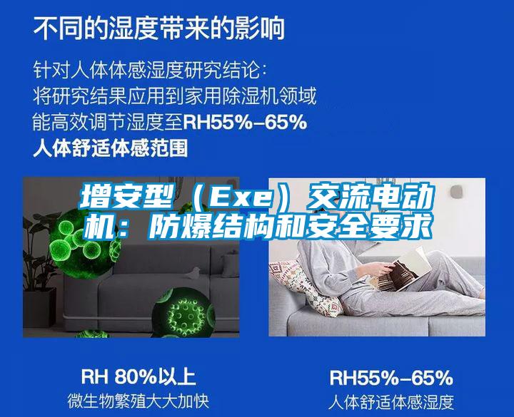 增安型（Exe）交流電動機：防爆結(jié)構(gòu)和安全要求