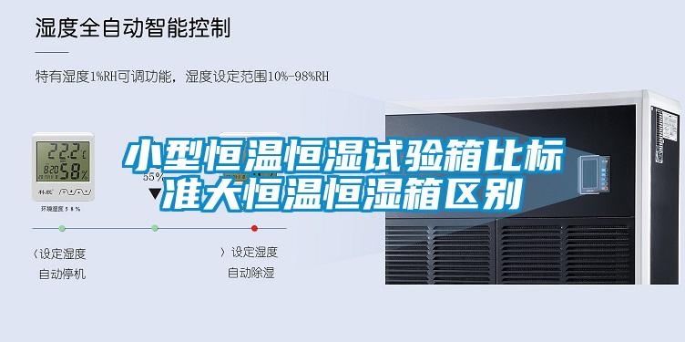 小型恒溫恒濕試驗箱比標準大恒溫恒濕箱區別