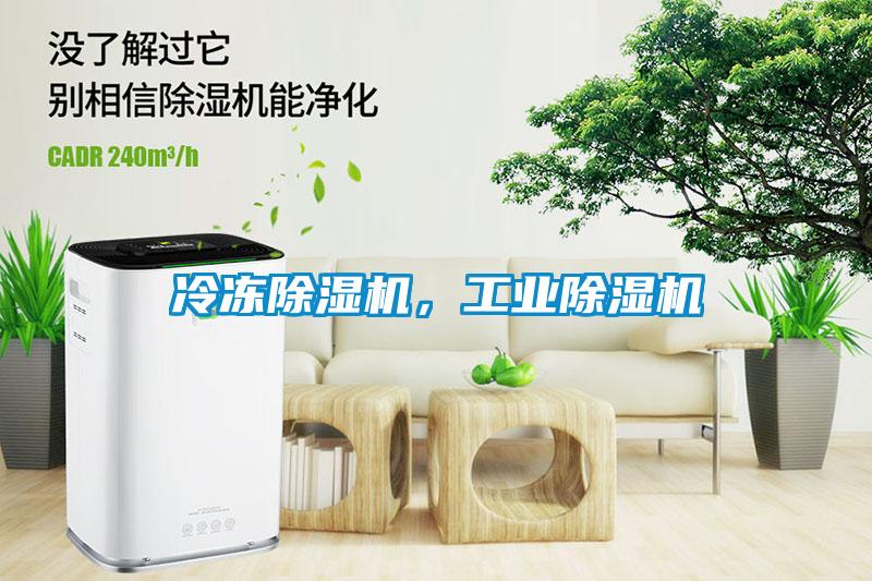 冷凍除濕機，工業除濕機