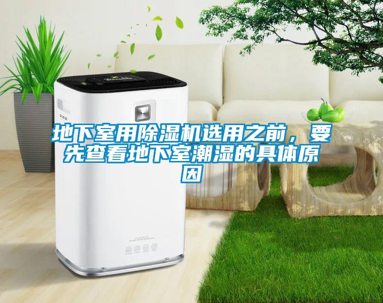 地下室用除濕機選用之前，要先查看地下室潮濕的具體原因