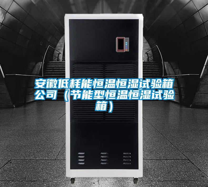 安徽低耗能恒溫恒濕試驗箱公司（節能型恒溫恒濕試驗箱）