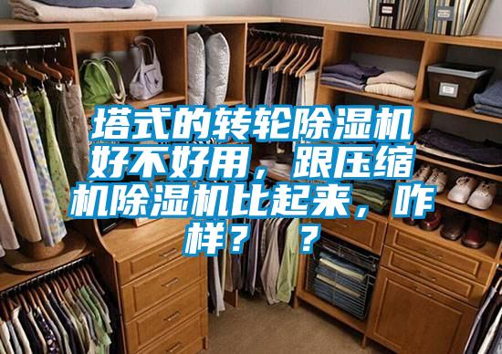 塔式的轉輪除濕機好不好用，跟壓縮機除濕機比起來，咋樣？ ？