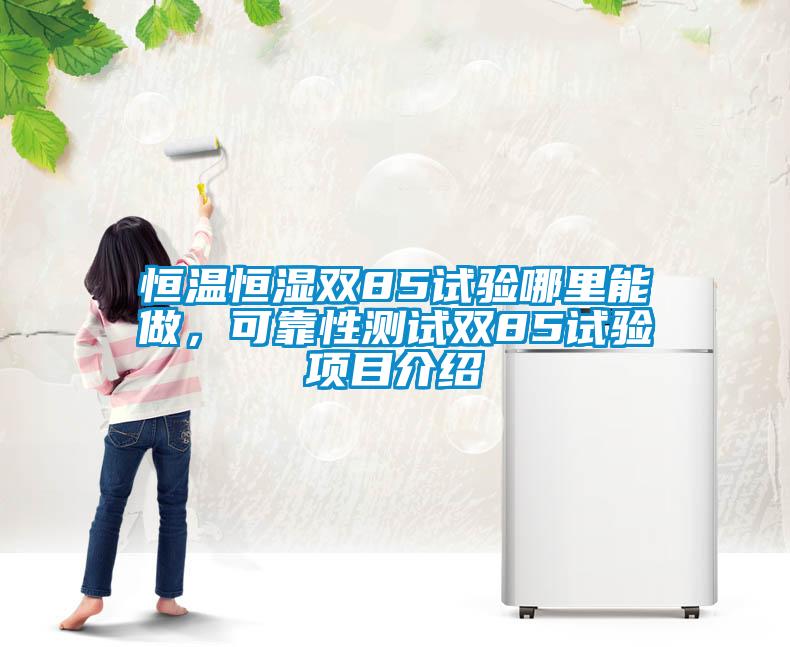 恒溫恒濕雙85試驗(yàn)?zāi)睦锬茏觯煽啃詼y(cè)試雙85試驗(yàn)項(xiàng)目介紹