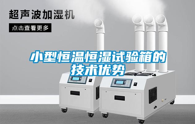 小型恒溫恒濕試驗箱的技術優勢