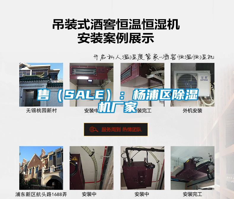 售（SALE）：楊浦區除濕機廠家