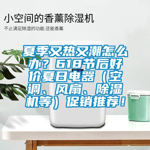 夏季又熱又潮怎么辦？618節后好價夏日電器（空調、風扇、除濕機等）促銷推薦！