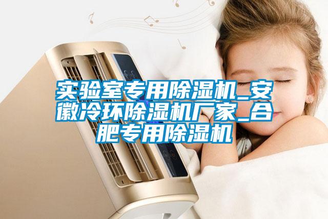 實(shí)驗(yàn)室專(zhuān)用除濕機(jī)_安徽冷環(huán)除濕機(jī)廠家_合肥專(zhuān)用除濕機(jī)