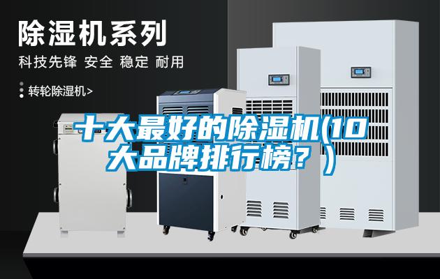 十大最好的除濕機(10大品牌排行榜？)