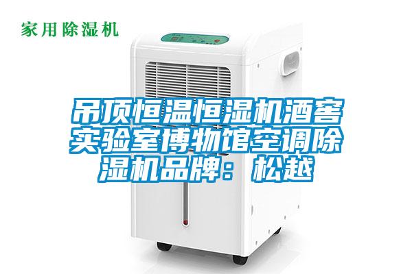 吊頂恒溫恒濕機酒窖實驗室博物館空調除濕機品牌：松越