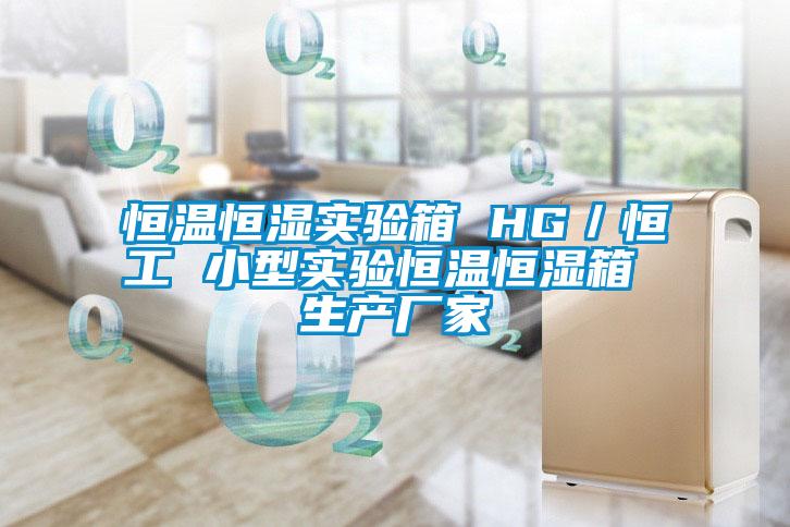 恒溫恒濕實驗箱 HG／恒工 小型實驗恒溫恒濕箱 生產廠家