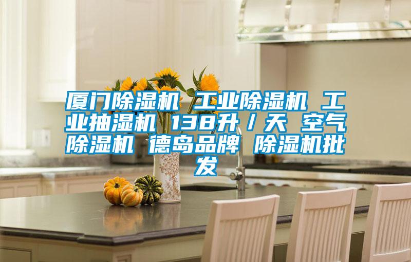 廈門除濕機 工業除濕機 工業抽濕機 138升／天 空氣除濕機 德島品牌 除濕機批發