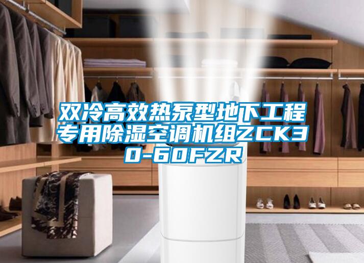 雙冷高效熱泵型地下工程專用除濕空調機組ZCK30-60FZR