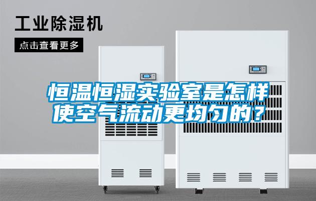 恒溫恒濕實(shí)驗(yàn)室是怎樣使空氣流動(dòng)更均勻的？