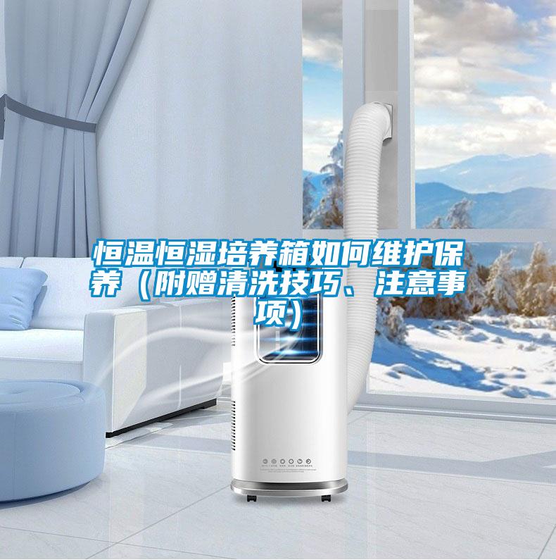 恒溫恒濕培養箱如何維護保養（附贈清洗技巧、注意事項）