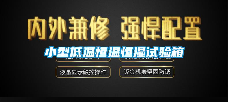 小型低溫恒溫恒濕試驗箱
