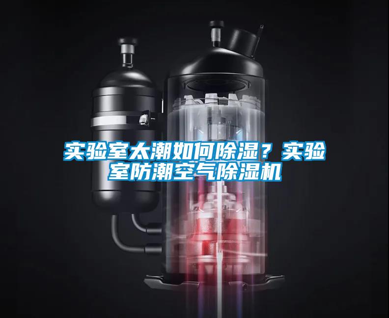 實(shí)驗(yàn)室太潮如何除濕？實(shí)驗(yàn)室防潮空氣除濕機(jī)