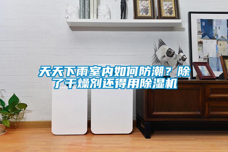 天天下雨室內如何防潮？除了干燥劑還得用除濕機