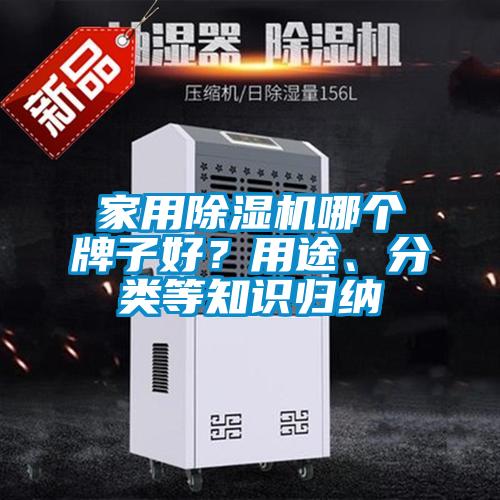 家用除濕機哪個牌子好？用途、分類等知識歸納