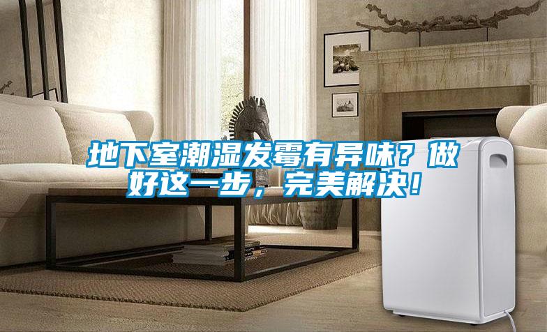 地下室潮濕發霉有異味？做好這一步，完美解決！