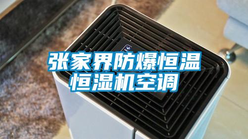 張家界防爆恒溫恒濕機空調